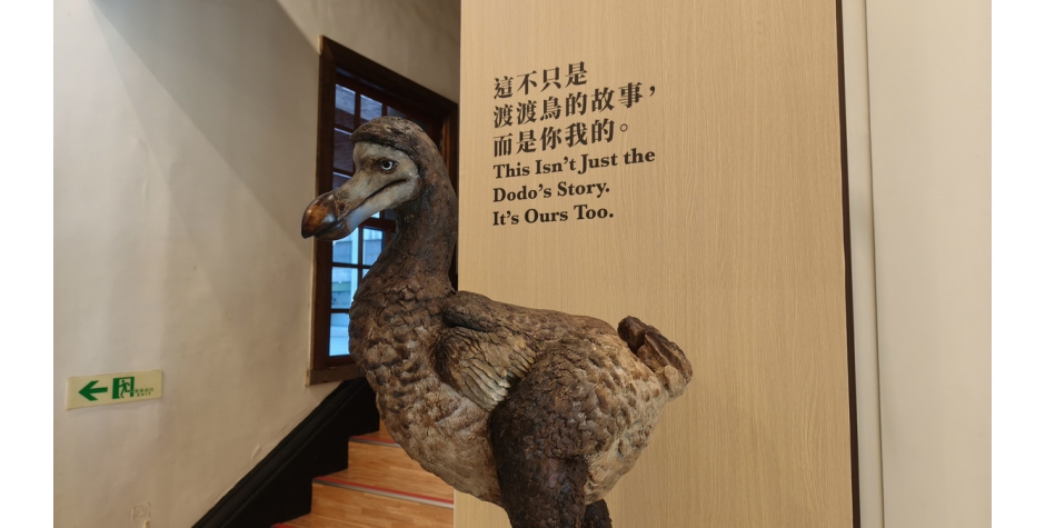 命運還是機會？廣達攜手台博館啟動《第六次大滅絕》特展